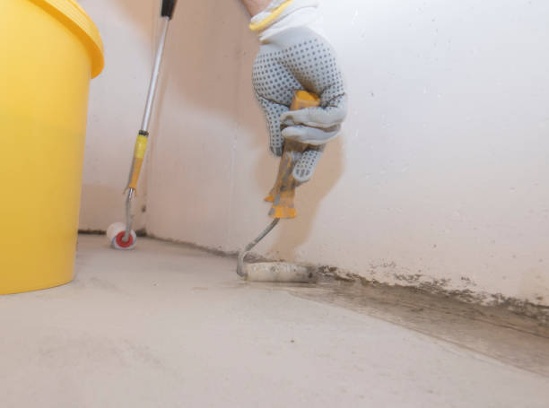 Best Bed Bug Extermination  in Hudsonville, MI